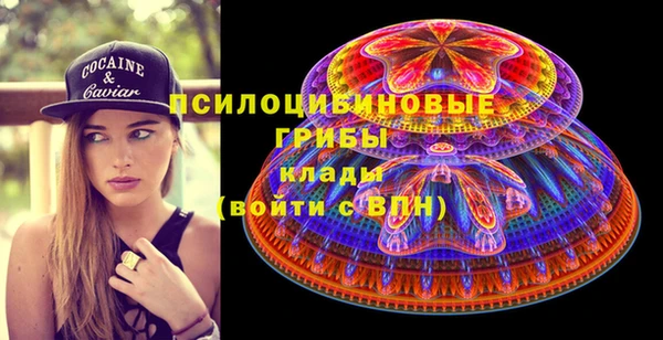 МДПВ Горняк