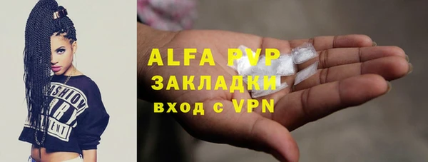 сатива Горнозаводск