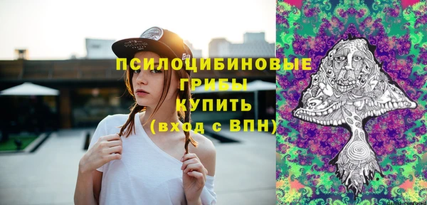 МДПВ Горняк