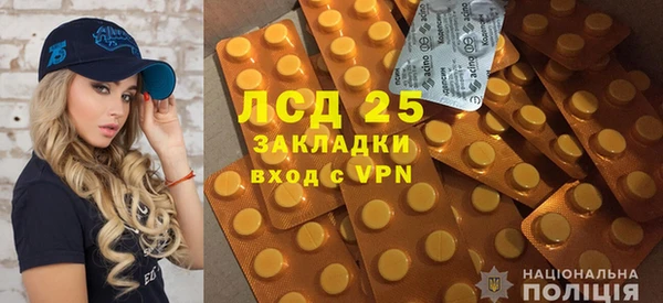 сатива Горнозаводск