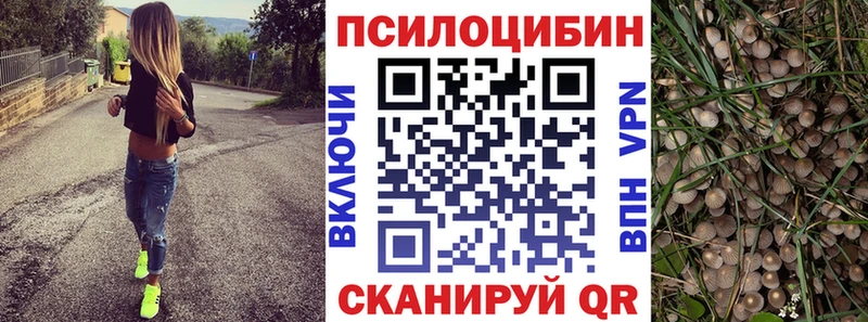 Галлюциногенные грибы ЛСД  купить закладку  Меленки 
